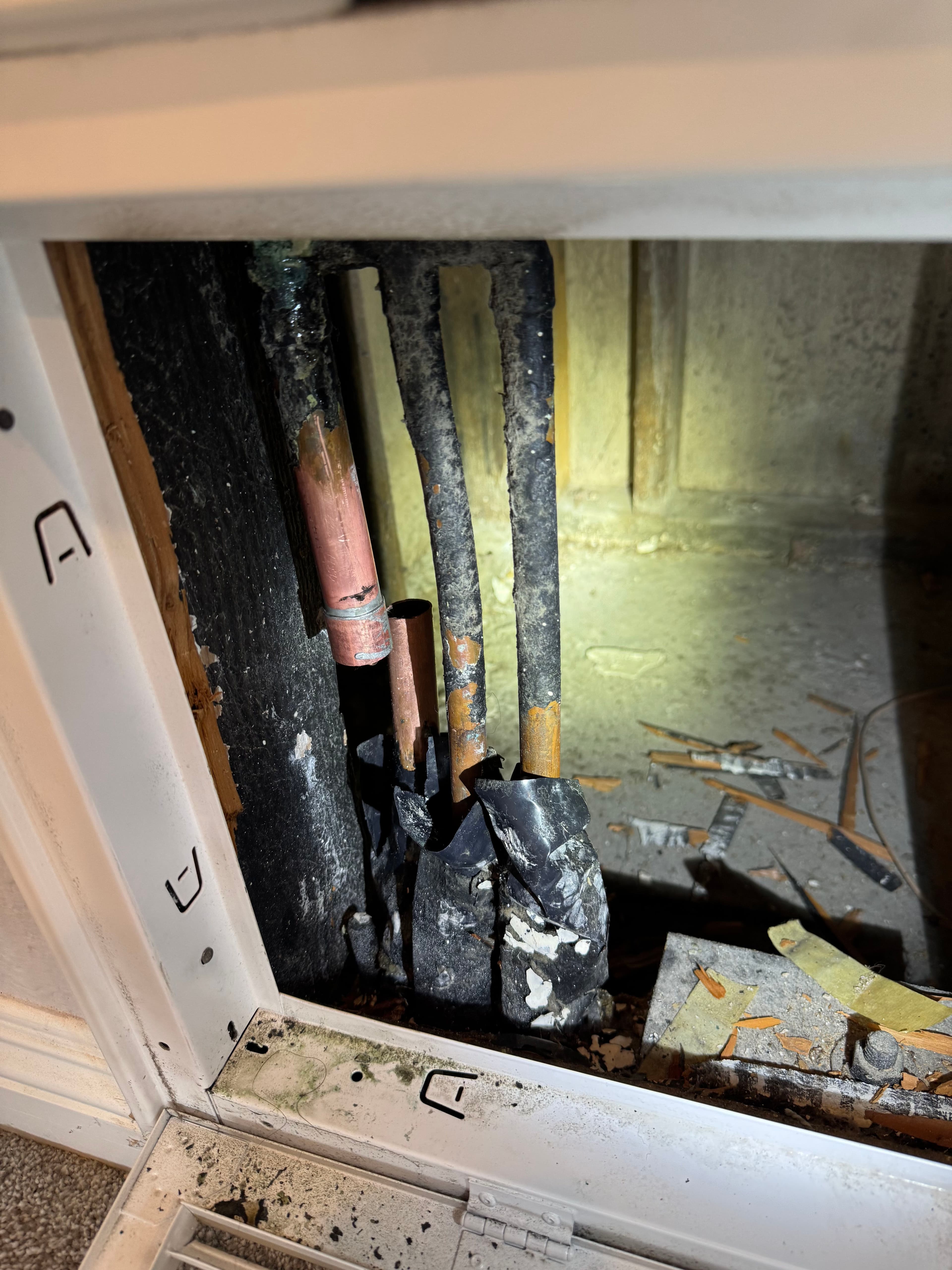 Project Whole-House Repiping Success in Diamond Bar image