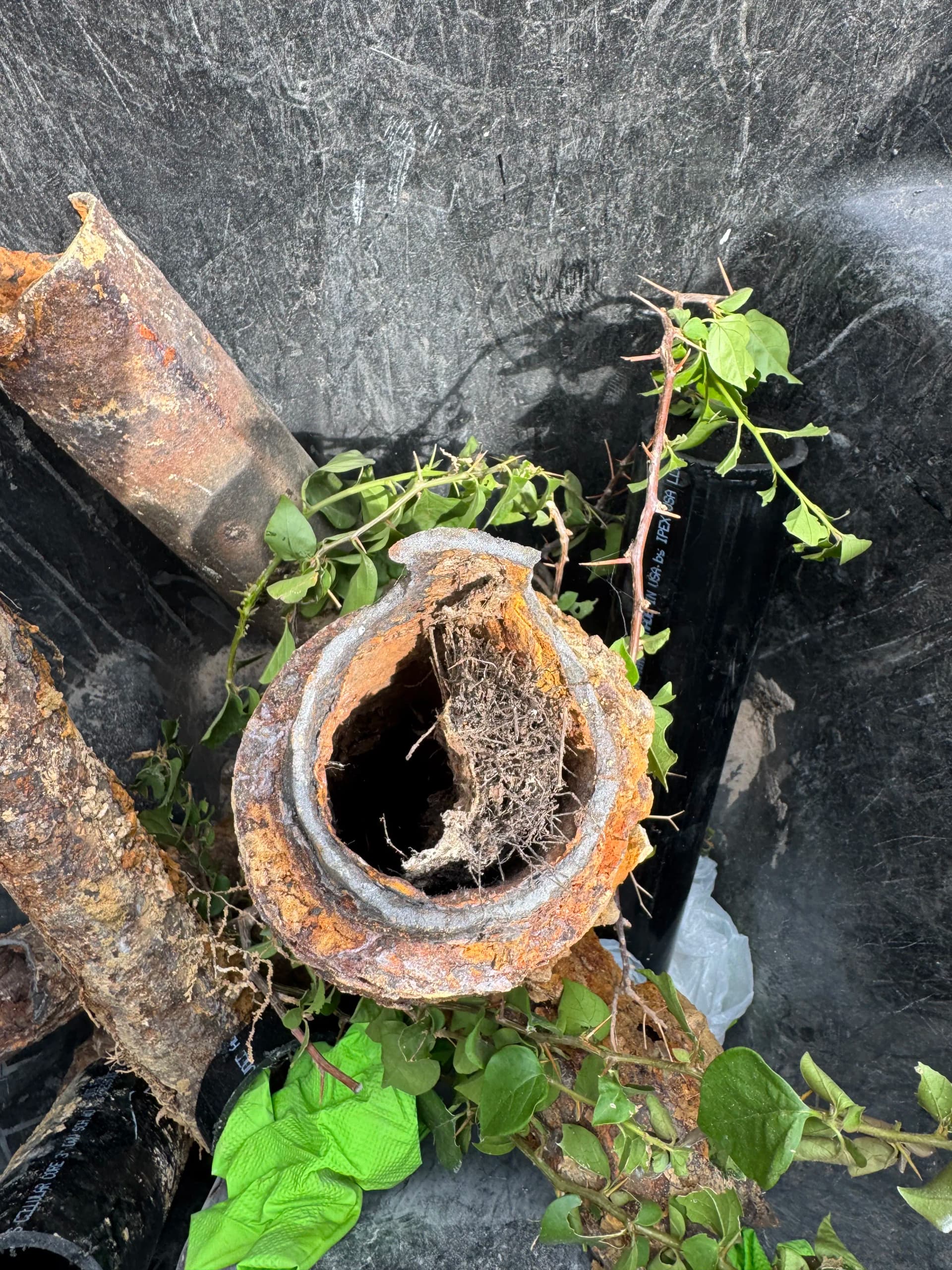 Gallery photos for Rotted Cast Iron Sewer Line Replaced with ABS Pipe: Image #3