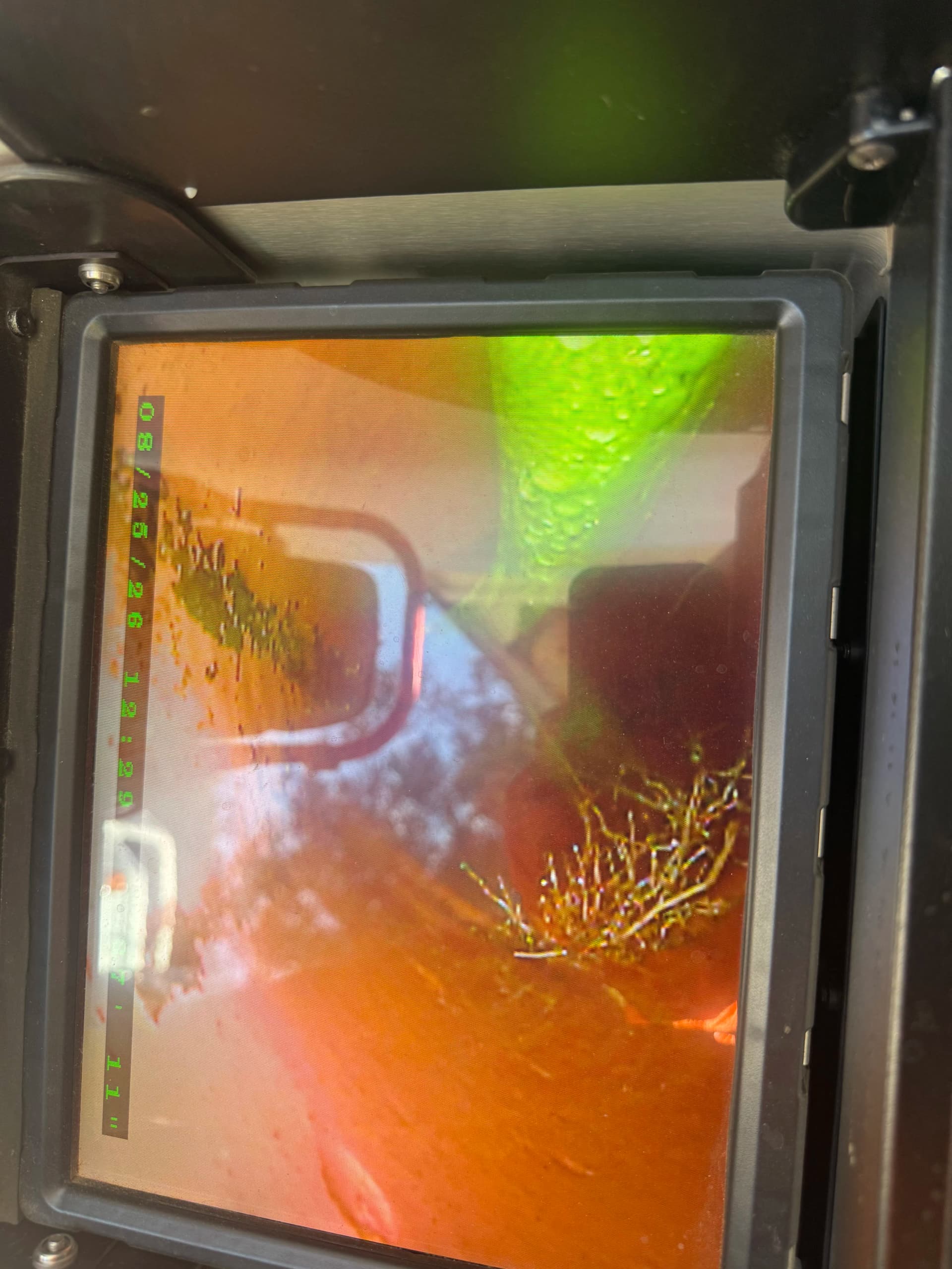 Gallery photos for Hydro Jetting a Main Sewer Line Choked With Root Intrusion: Image #2