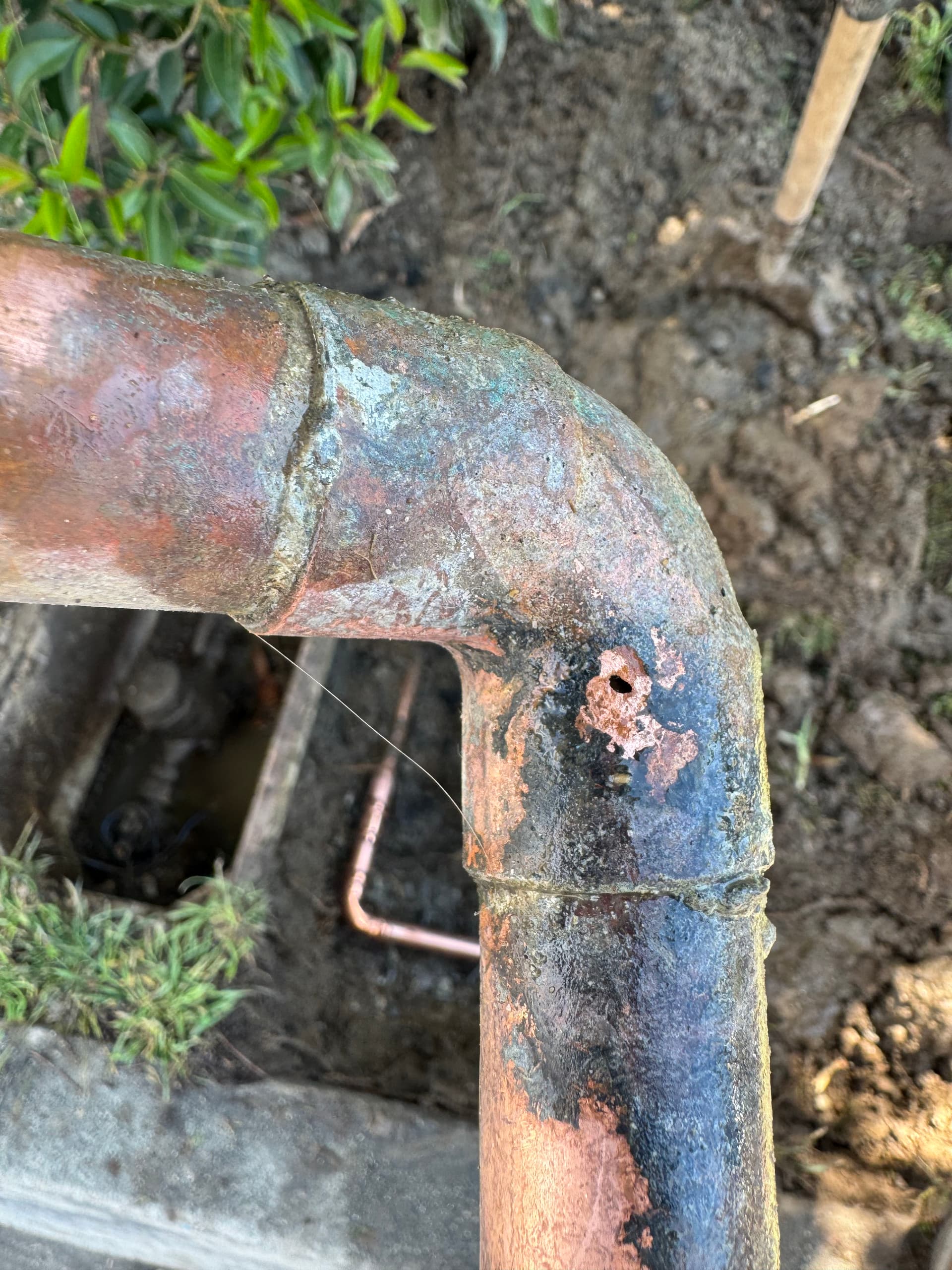Copper Water Service Line Pinhole Leak Repair in Whittier image