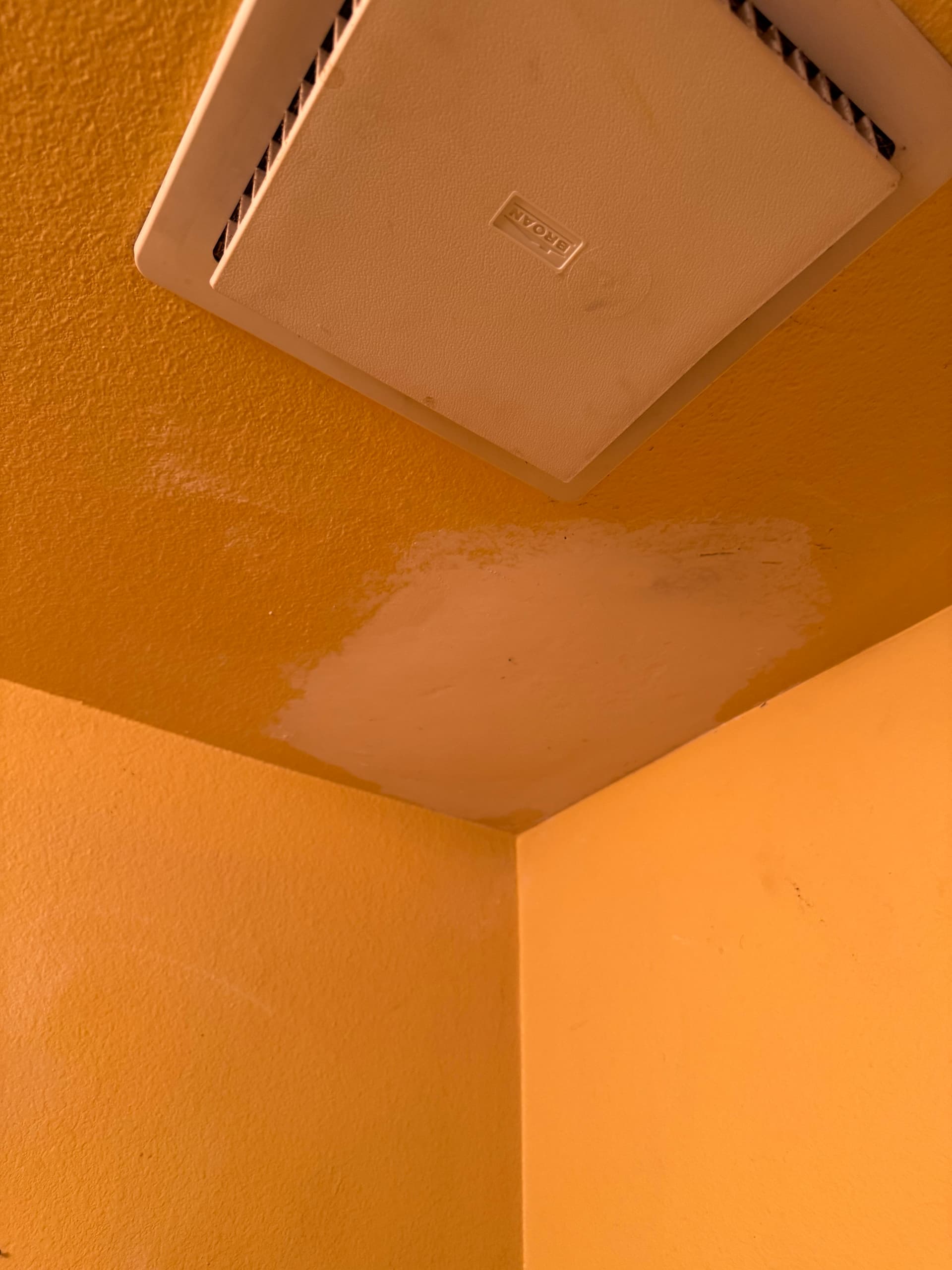 Gallery photos for Worn Tub P-Trap Replaced and Ceiling Patched Back to Clean: Image #1