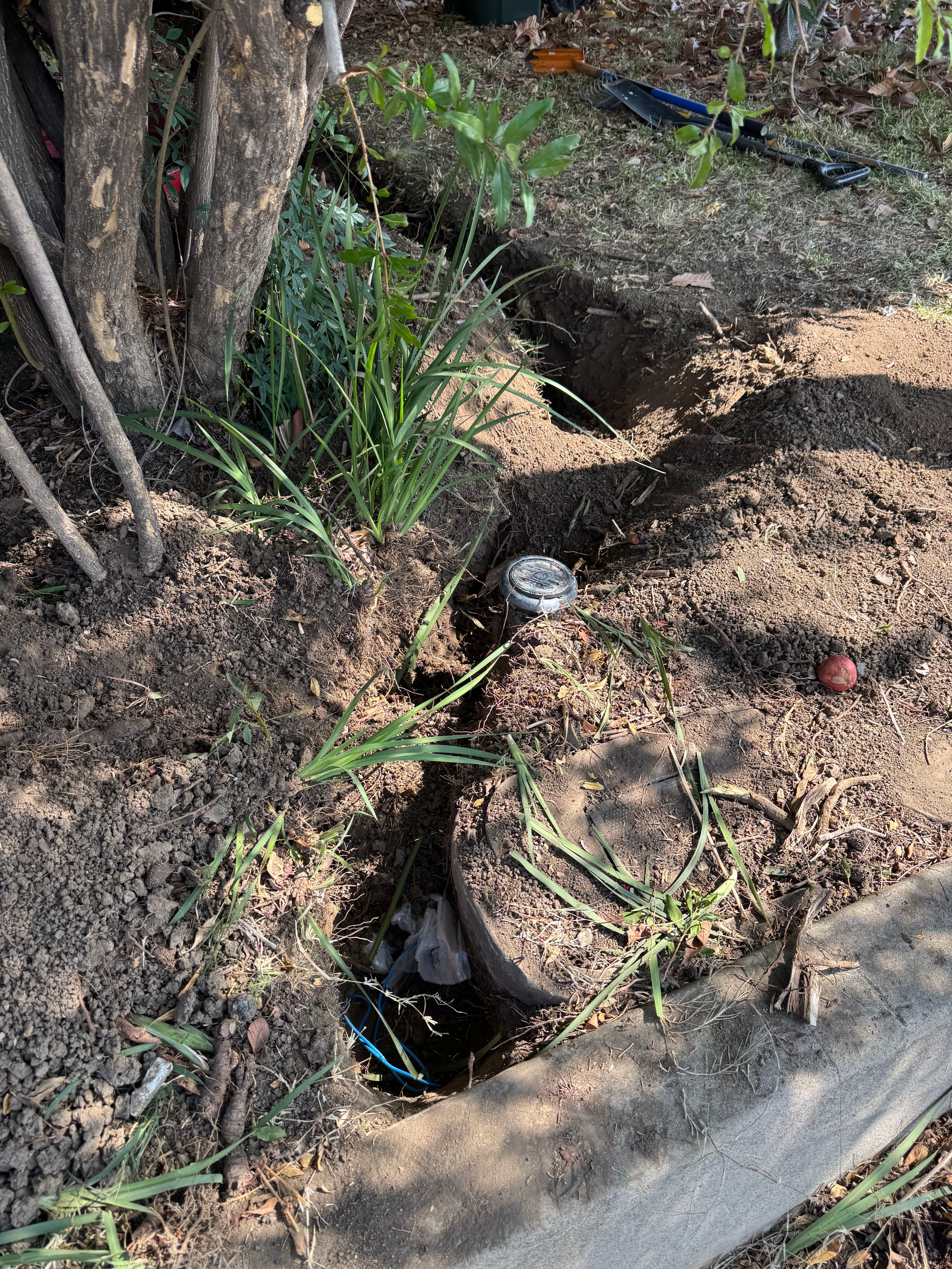 Project 1-Inch Water Service Line Replacement Done the Right Way image
