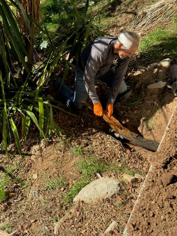 Gallery photos for Main Sewer Pipe Repair and Root Removal in Arcadia: Image #1