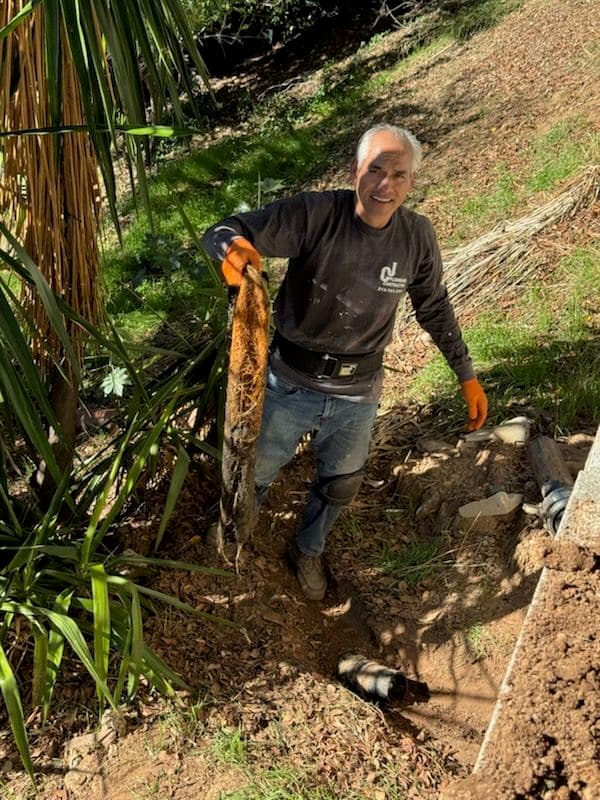 Gallery photos for Main Sewer Pipe Repair and Root Removal in Arcadia: Image #2