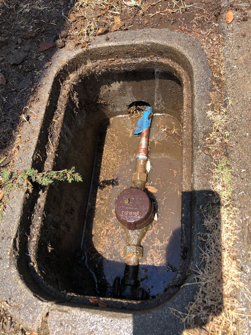 Water meter in a concrete box with standing water and a rusted valve.