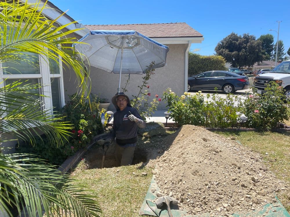 Gardener digging soil under an umbrella with rose bushes in the background.