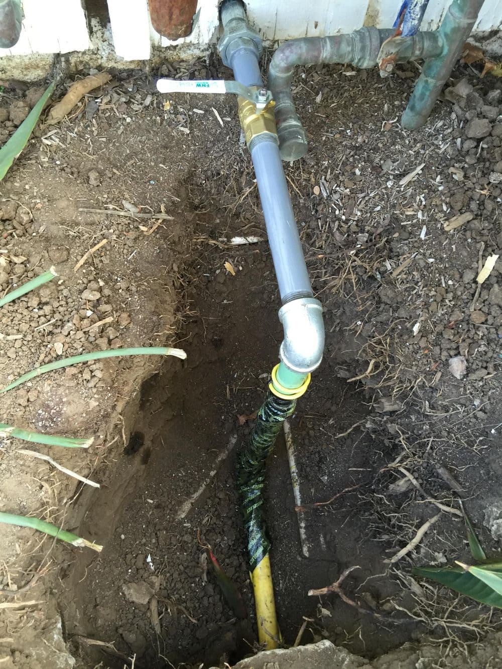 Underground plumbing pipe with valve, surrounded by dirt and plants.